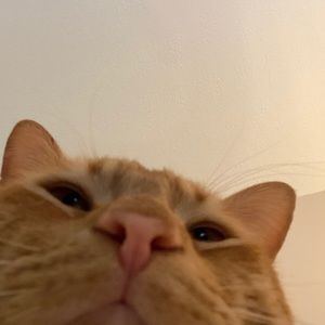 Meet your Posher, Arfah